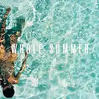Picture for song 'Whole Summer (Buy 2 Get 1 Free)' by artist 'JETT1 by Dizzee'