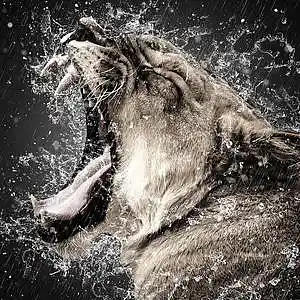 Picture for song 'Glory' by artist 'Kane Comeau'