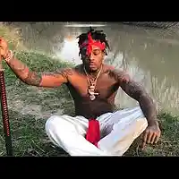 Picture for song 'sauce walka migos type beat foreign' by artist 'masonthatrack'