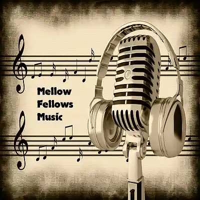 Picture for song 'LoFi Banger Beat' by artist 'Mellow Fellows Music'