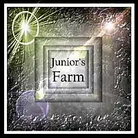 Picture for song 'Junior's Farm (sing)' by artist 'Numi Who Creative Covers'