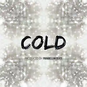 Picture for song 'Cold' by artist 'Parabellum Beats'