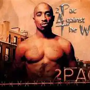Picture for song 'WHO BLOCK IS IT' by artist 'popdaddyhiphop'