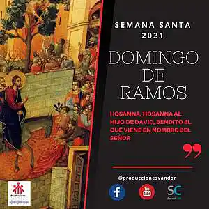 Picture for song 'Domingo Ramos' by artist 'Producciones Vandor'