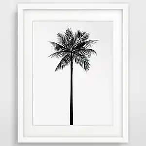 Picture for song 'Oasis' by artist 'MOLODOi'