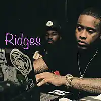 Picture for song '808 Mafia/Future Type Beat Ridges' by artist 'Savagery Beats'