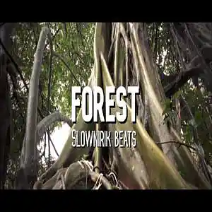 Picture for song 'Forest' by artist 'Slownirik'