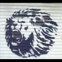 Picture for song 'No Control (Vox Mix B)' by artist 'XL73'