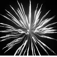 Picture for song 'Fireworks (Bazzi/BrysonTiller/Lauv)' by artist 'Cooarri'