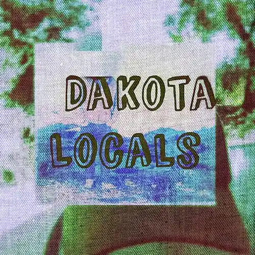 Picture for song 'Weird' by artist 'Dakota Locals'