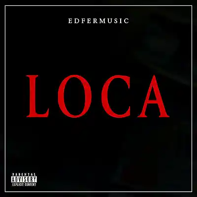 Picture for song 'EDFER MUSIC LOCA' by artist 'EDFERMUSIC'