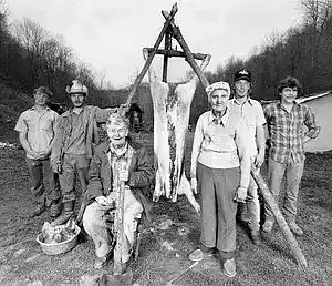 Picture for song 'Sanchez' by artist 'Jerry and the People'