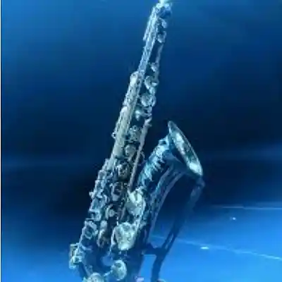 Picture for song 'Take Five (Cover)' by artist 'Newlife blues Jazz thunder'
