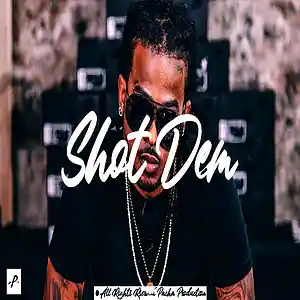 Picture for song 'Shot Dem' by artist 'Pacha Production'
