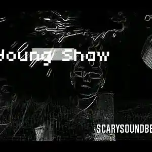Picture for song 'Young Shaw' by artist 'ScarySoundBeatz'