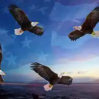 Picture for song 'Imagine 2' by artist 'T Reed Band'