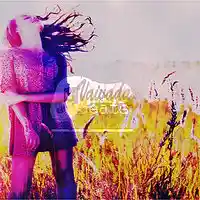 Picture for song 'VaivadaBeats-Lean (Instrumental Beats)' by artist 'VaivadaBeats'