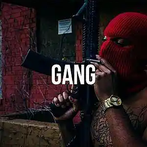 Picture for song 'Gang (Hard Trap Beat)' by artist 'YOUNG GOTTI BEATS'