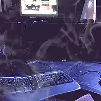 Picture for song 'Trap Crazy (instrumental) prod by Bernie D' by artist 'Bernie D'