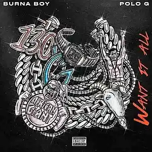 Picture for song 'Burna_Boy_Ft_Polo_G_-_Want_It_All' by artist 'Extra bass'