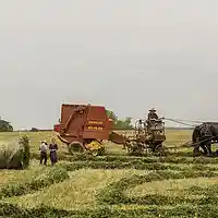 Picture for song 'Farmer' by artist 'Golden Day'