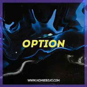 Picture for song 'Option' by artist 'Homiebeat'