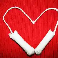 Picture for song 'She Menastrates Hate' by artist 'Johnny Slapp'