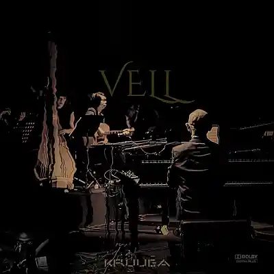 Picture for song 'VELL - [Soulful Afrobeats/Afro-Fusion Type Beat]' by artist 'Kruuga'