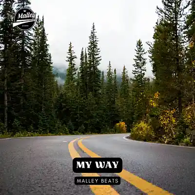 Picture for song 'MY WAY [MELODIC RAP GUITAR TYPE BEAT]' by artist 'Malley Beats'