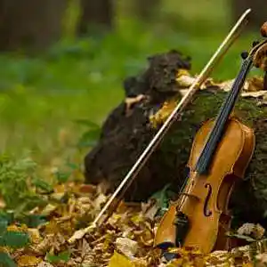 Picture for song 'Violin' by artist 'Delame'
