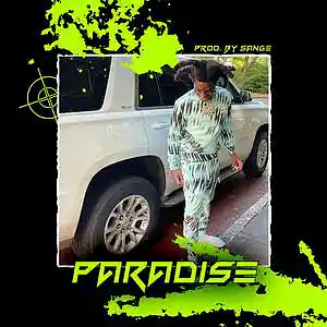 Picture for song 'Polo G x Li Tjay x Lil Durk Type Beat - Paradise' by artist 'sange beats'