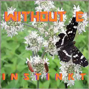 Picture for song 'I N S T I N K T' by artist 'WITHOUT E'
