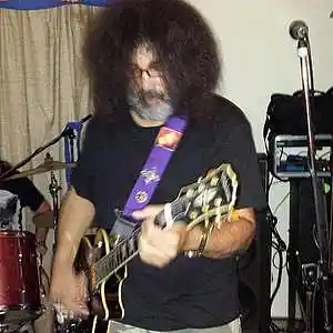 Picture for song 'Guitar Slim' by artist 'Darryl Zuber's 10th World'