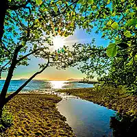 Picture for song 'Abri EL - Live Forever' by artist 'Abri EL'