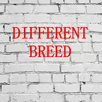 Picture for song 'Different Breed (Hip Hop Soul Banger)' by artist 'Cold Lo BEATS'