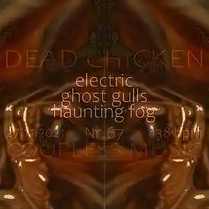 Picture for song '67 - electric ghost gulls haunting fog' by artist 'DEAD CHICKEN'
