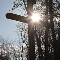 Picture for song 'The Wood of the Cross' by artist 'Kerry McMasters'