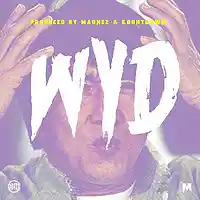 Picture for song 'WYD' by artist 'Madnez'
