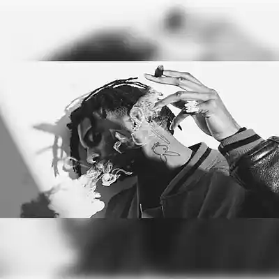 Picture for song 'Playboi Carti x Pierre Bourne Type Beat "ChildSup' by artist 'PLUGGNBME850'