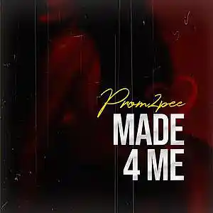Picture for song 'Prom2pee - Made for Me' by artist 'Prom2pee'