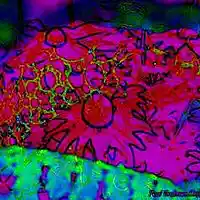 Picture for song 'Shiver' by artist 'Sushi Pot Jungle'