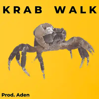 Picture for song 'K R A B W A L K' by artist 'TemaNinja Beats (YarT) (Aden)'
