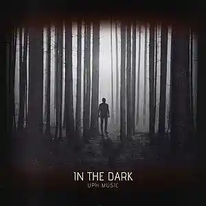 Picture for song 'In The Dark Post Malone x Don Toliver Type Beat' by artist 'UPH Music'