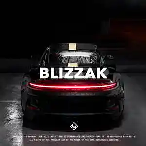 Picture for song 'Blizzak (Club Deep House Type Beat)' by artist 'WZ Beats Store'