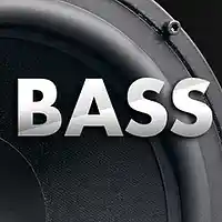 Picture for song 'Bass Boom Bottom' by artist 'BASSOTRONICS'