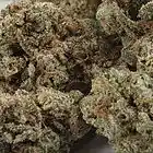 Picture for song '*NEW* JCruz- Crackin' Nugs 190BPM' by artist 'JCruz Productions'