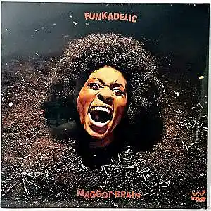 Picture for song 'Maggot Brain' by artist 'Michael Duran'