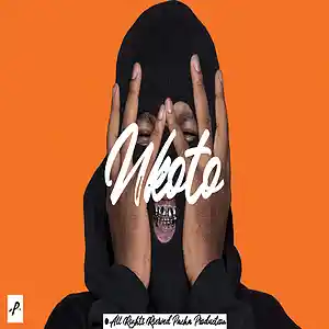 Picture for song 'N'Koto' by artist 'Pacha Production'