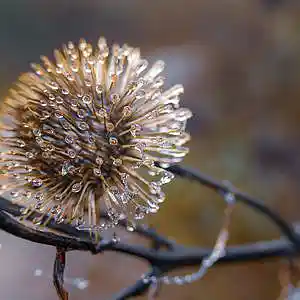 Picture for song 'FROZEN EMOTIONS (feat. Paola Madelaine)' by artist 'Round The Globe'