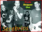 Picture for song 'Babosa' by artist 'SEREBRIOS'
